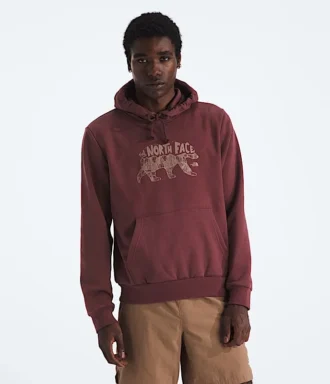 Erkek Evolution TNF™ Bear Hoodie—Grafik