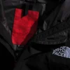 Erkek GORE-TEX® Dağ Ceketi