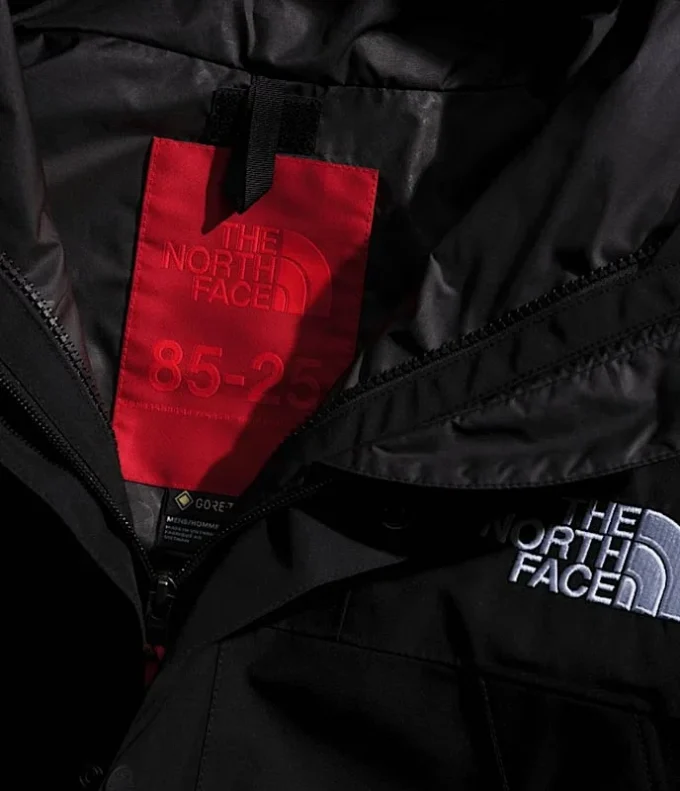 Erkek GORE-TEX® Dağ Ceketi