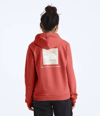 Kadınlar için Evolution Box NSE Fill Light Hoodie—Grafik